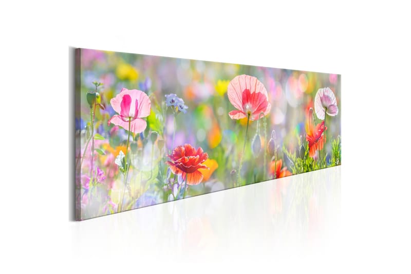 Billede Rainbow of Morning Poppies 135x45 - Artgeist sp. z o. o. - Boligtilbehør - Billeder & kunst - Billeder på lærred