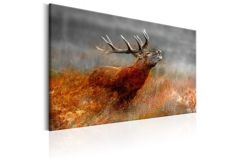 Billede Roaring Deer 120x80 - Artgeist sp. z o. o. - Boligtilbehør - Billeder & kunst - Billeder på lærred