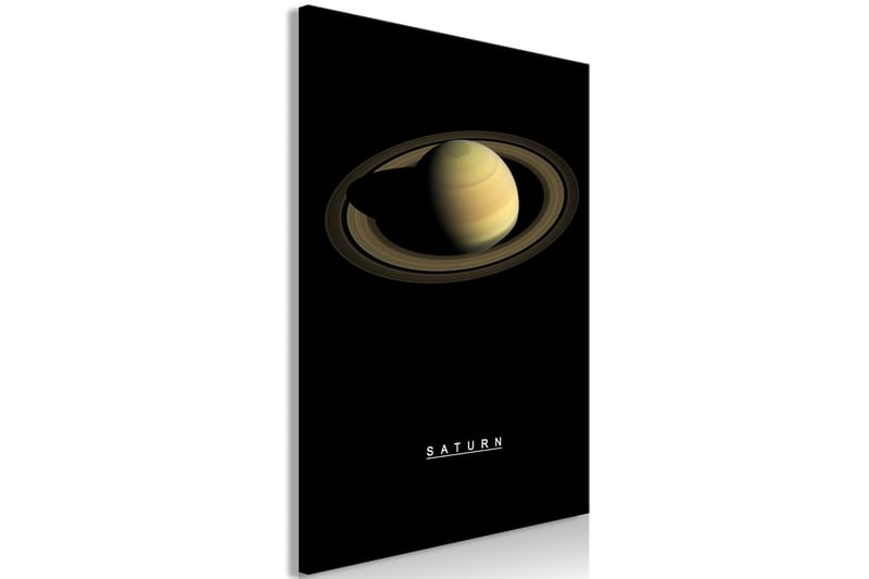 Billede Saturn (1 del) Lodret 60x90 - Artgeist sp. z o. o. - Boligtilbehør - Billeder & kunst - Billeder på lærred