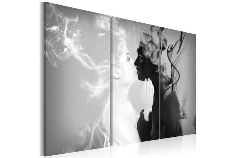 Billede Smoky Kiss 60x40 - Artgeist sp. z o. o. - Boligtilbehør - Billeder & kunst - Billeder på lærred