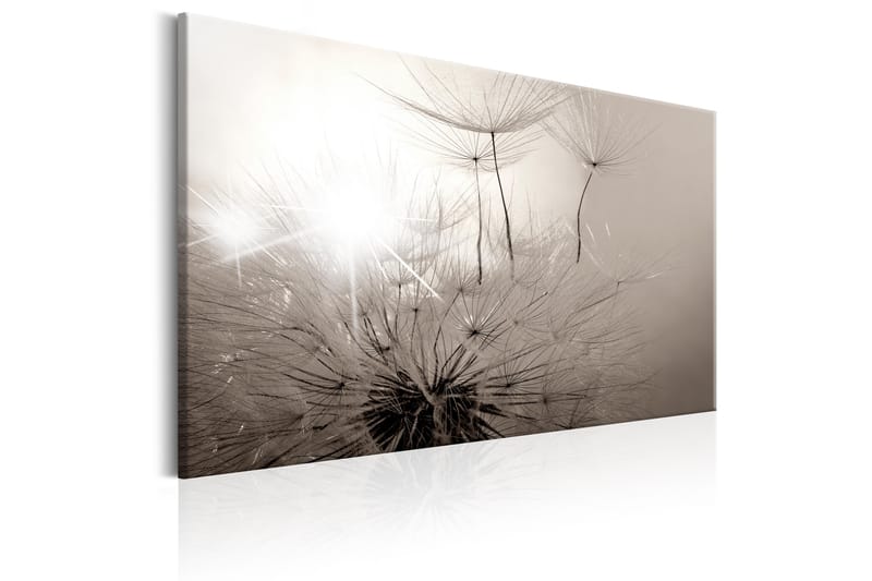 Billede Smuk sommer: Dandelions 90x60 - Artgeist sp. z o. o. - Boligtilbehør - Billeder & kunst - Billeder på lærred