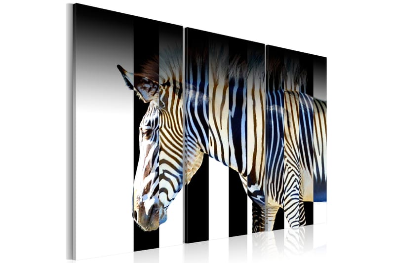 Billede Stripes 120x80 - Artgeist sp. z o. o. - Boligtilbehør - Billeder & kunst - Billeder på lærred