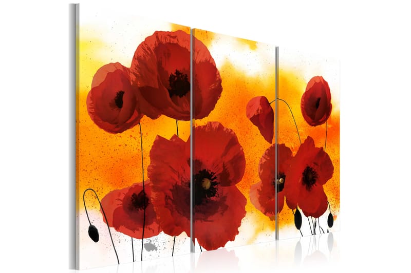 Billede Sunny Afternoon And Poppies 120x80 - Artgeist sp. z o. o. - Boligtilbehør - Billeder & kunst - Billeder på lærred