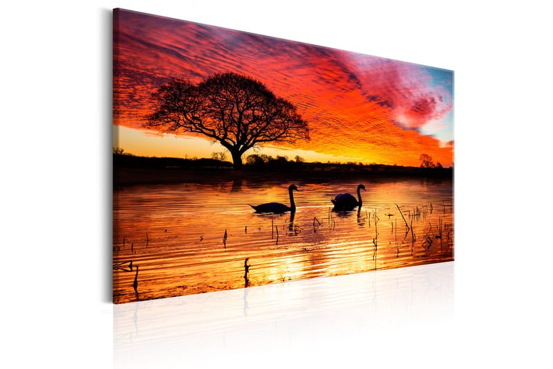 Billede Swan Lake 120x80 - Artgeist sp. z o. o. - Boligtilbehør - Billeder & kunst - Billeder på lærred