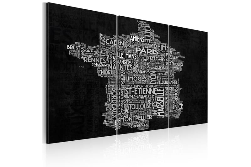 Billede Text Map Of France Triptych 120x80 - Artgeist sp. z o. o. - Boligtilbehør - Billeder & kunst - Billeder på lærred