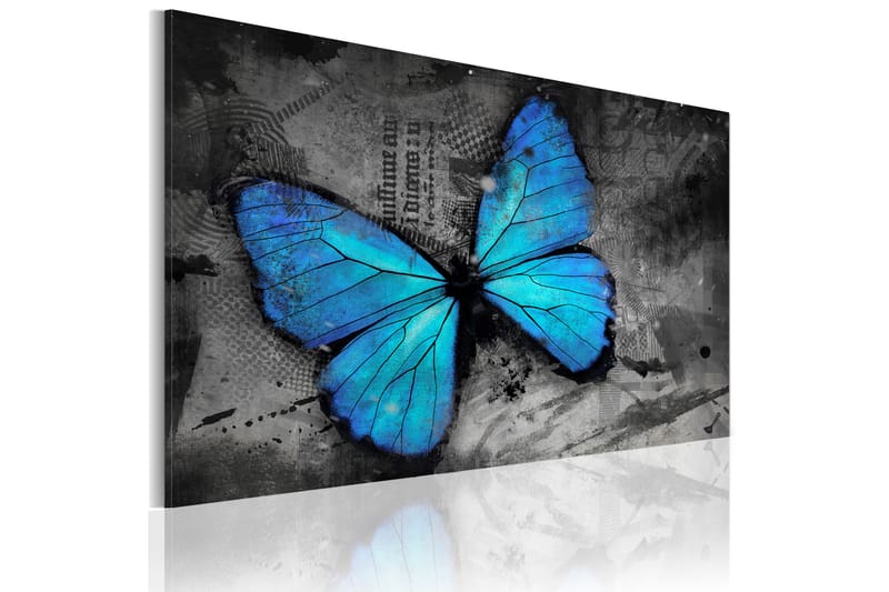 Billede The study of butterfly 120x80 - Artgeist sp. z o. o. - Boligtilbehør - Billeder & kunst - Billeder på lærred