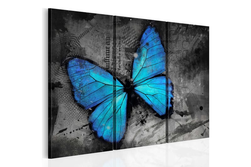 Billede The Study Of Butterfly Triptych 60x40 - Artgeist sp. z o. o. - Boligtilbehør - Billeder & kunst - Billeder på lærred