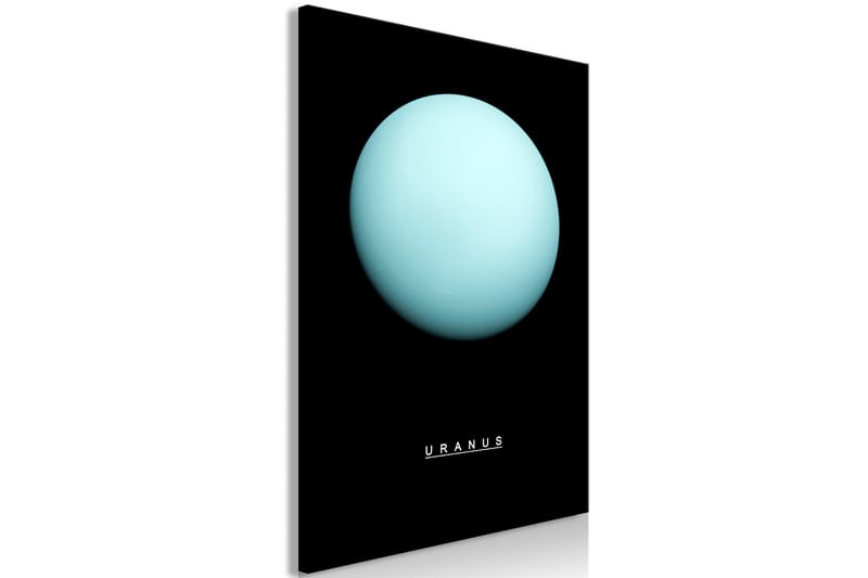 Billede Uranus (1 del) Lodret 60x90 - Artgeist sp. z o. o. - Boligtilbehør - Billeder & kunst - Billeder på lærred