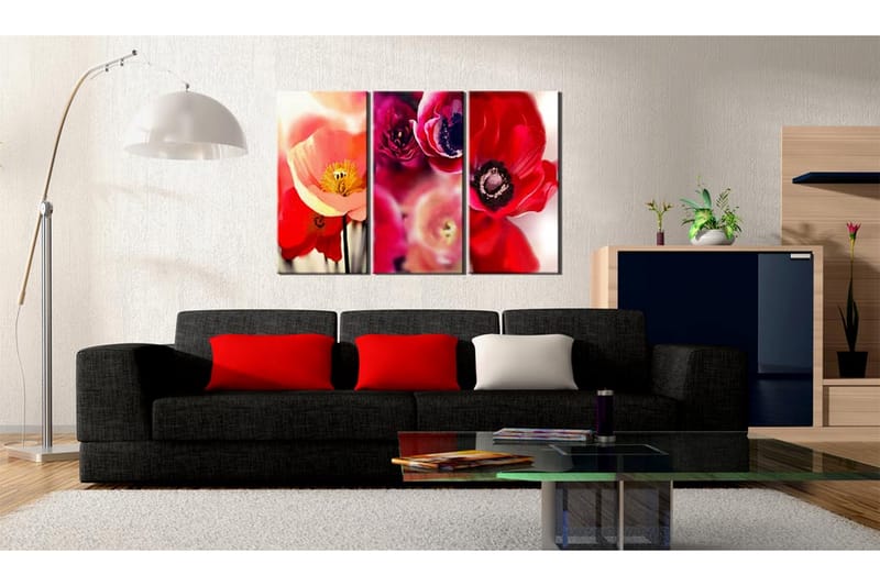 Billede valmue tre perspektiv 90x60 - Artgeist sp. z o. o. - Boligtilbehør - Billeder & kunst - Billeder på lærred