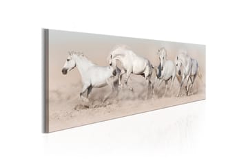 Billede Wild Beauty 120x40