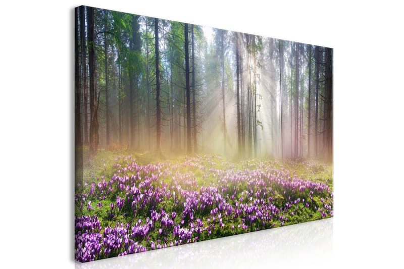 Billede Purple Meadow (1 del) Bred 70x35 - Artgeist sp. z o. o. - Boligtilbehør - Billeder & kunst - Billeder på lærred