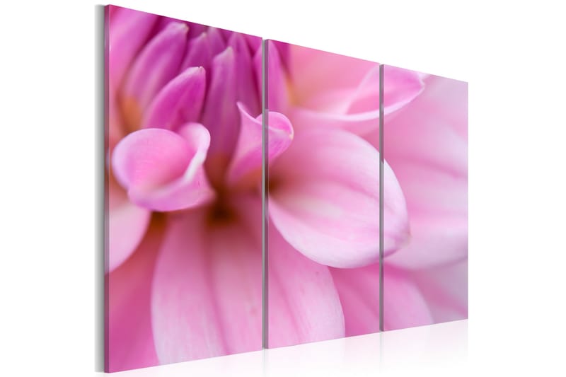 Billede Pink dahlia 90x60 - Artgeist sp. z o. o. - Boligtilbehør - Billeder & kunst - Billeder på lærred