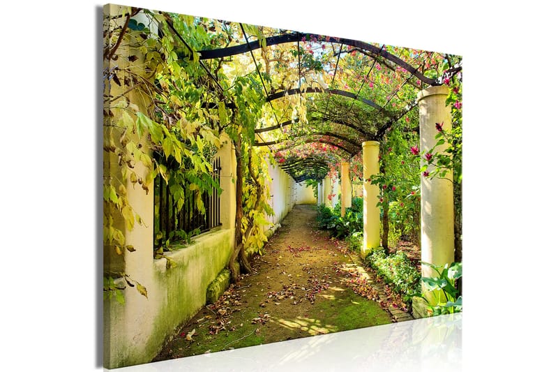 Billede Pergola (1 del) Bred 120x80 - Artgeist sp. z o. o. - Boligtilbehør - Billeder & kunst - Billeder på lærred