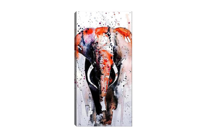 Canvasbillede DKY Animals Flerfarvet - 50x120 cm - Boligtilbehør - Billeder & kunst - Billeder på lærred