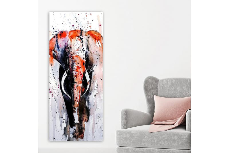 Canvasbillede DKY Animals Flerfarvet - 50x120 cm - Boligtilbehør - Billeder & kunst - Billeder på lærred