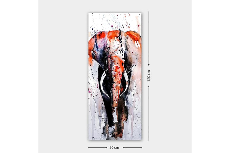 Canvasbillede DKY Animals Flerfarvet - 50x120 cm - Boligtilbehør - Billeder & kunst - Billeder på lærred