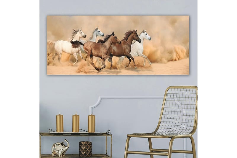 Canvasbillede YTY Animals Flerfarvet - 120x50 cm - Boligtilbehør - Billeder & kunst - Billeder på lærred