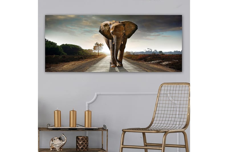 Canvasbillede YTY Animals Flerfarvet - 120x50 cm - Boligtilbehør - Billeder & kunst - Billeder på lærred