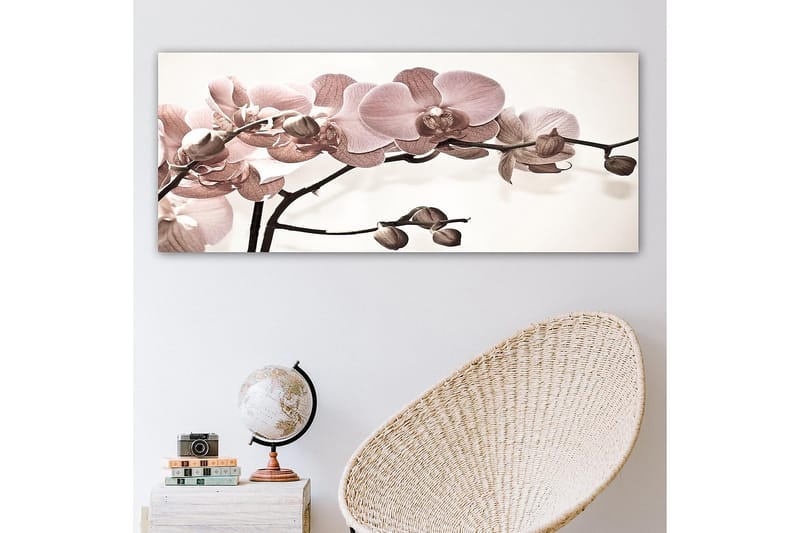 Canvasbillede YTY Floral & Botanical Flerfarvet - 120x50 cm - Boligtilbehør - Billeder & kunst - Billeder på lærred