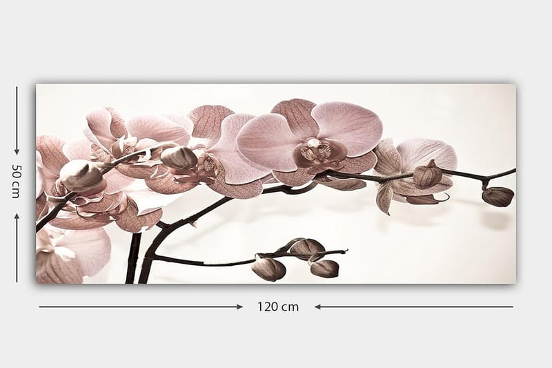 Canvasbillede YTY Floral & Botanical Flerfarvet - 120x50 cm - Boligtilbehør - Billeder & kunst - Billeder på lærred