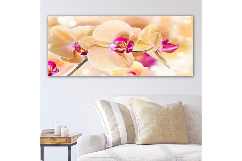 Canvasbillede YTY Floral & Botanical Flerfarvet - 120x50 cm - Boligtilbehør - Billeder & kunst - Billeder på lærred