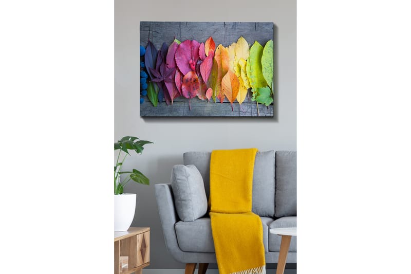 Dekorativ Canvasbillede 70x100 cm - Flerfarvet - Boligtilbehør - Billeder & kunst - Billeder på lærred