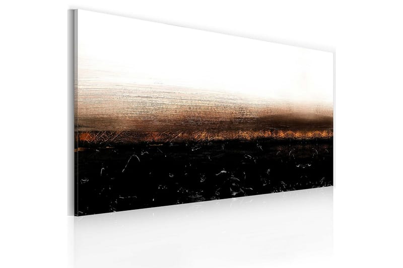 Kanvasbillede Black soil 120x60 cm - Artgeist sp. z o. o. - Boligtilbehør - Billeder & kunst - Billeder på lærred