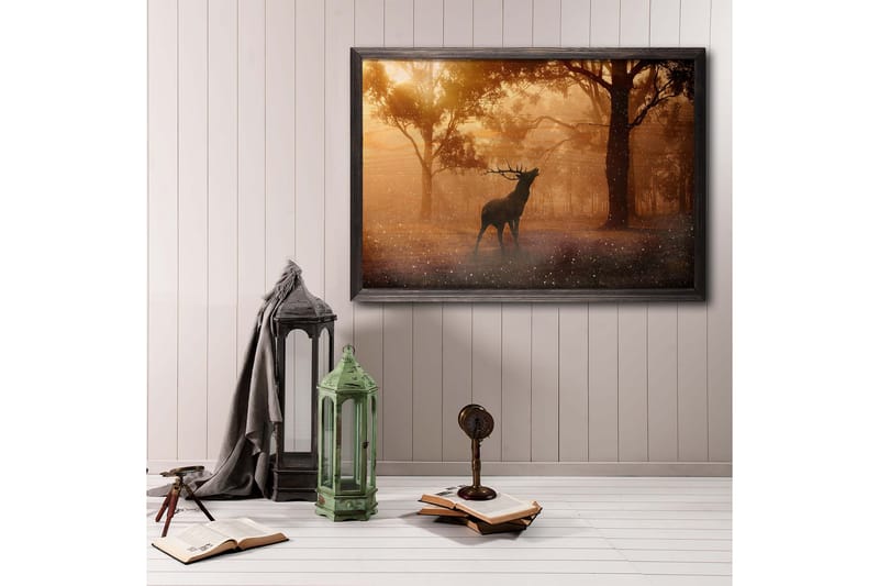 Deer At Dawn Foto Orange/Brun - 70x50 cm - Posters & plakater - Fotoplakat - Dyreplakater
