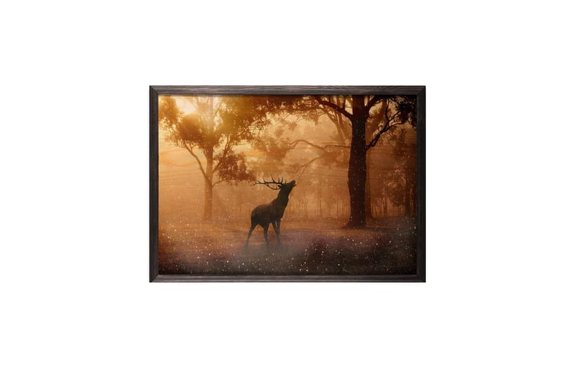 Deer At Dawn Foto Orange/Brun - 70x50 cm - Posters & plakater - Fotoplakat - Dyreplakater