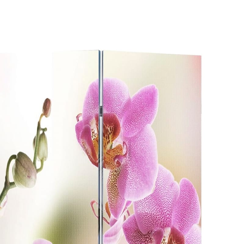 Foldbar Rumdeler 160 X 170 Blomstermotiv - Flerfarvet - Foldeskærm - Rumdelere