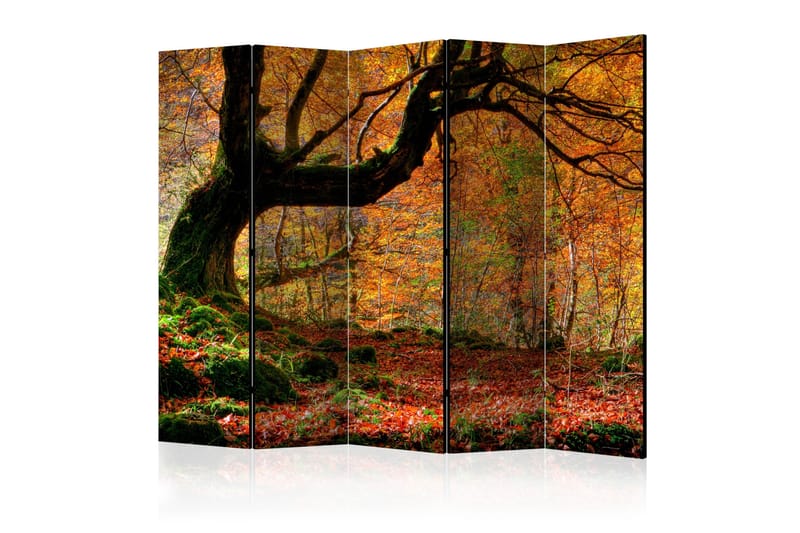 Rumdeler - Autumn, forest and leaves II 225x172 - Artgeist sp. z o. o. - Boligtilbehør - Rumdelere - Foldeskærm