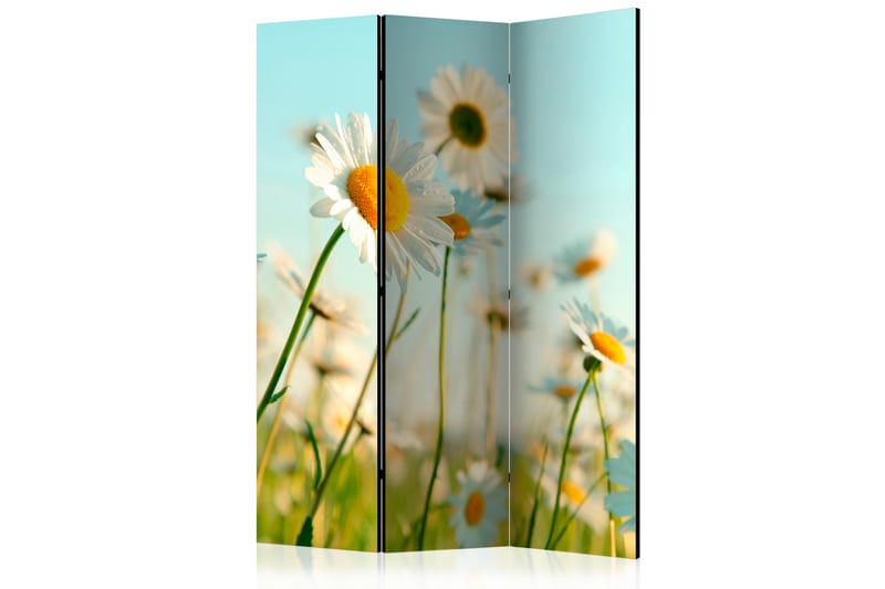 Rumdeler - Daisies - spring meadow 135x172 - Artgeist sp. z o. o. - Boligtilbehør - Rumdelere - Foldeskærm