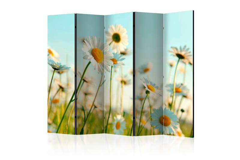 Rumdeler - Daisies - spring meadow II 225x172 - Artgeist sp. z o. o. - Boligtilbehør - Rumdelere - Foldeskærm