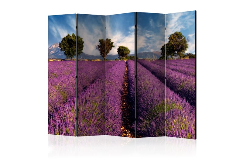 Rumdeler Lavender Field in Provence, France II 225x172 cm - Artgeist sp. z o. o. - Boligtilbehør - Rumdelere - Foldeskærm