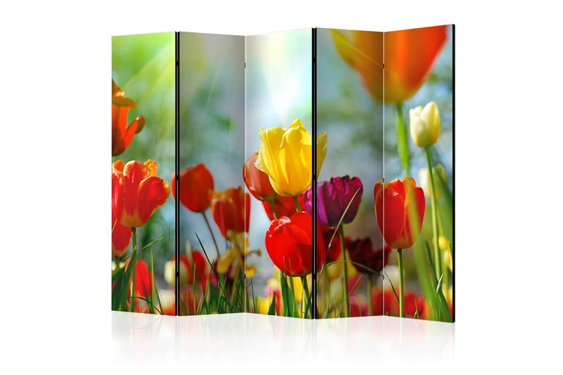 Rumdeler Spring Tulips II 225x172 cm - Artgeist sp. z o. o. - Boligtilbehør - Rumdelere - Foldeskærm