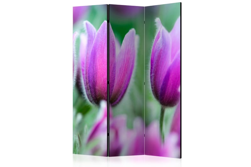 Rumdeler Purple Spring Tulips 135x172 cm - Artgeist sp. z o. o. - Boligtilbehør - Rumdelere - Foldeskærm