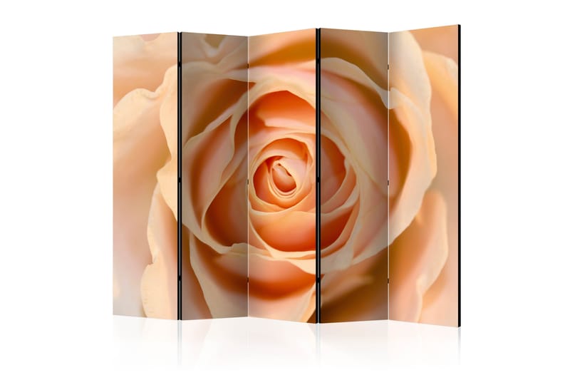 Rumdeler - Peach-colored rose II 225x172 - Artgeist sp. z o. o. - Boligtilbehør - Rumdelere - Foldeskærm