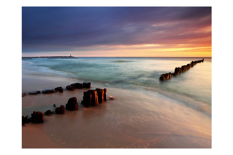 Canvastavle Beach Beach Sunrise 200x154 - Artgeist sp. z o. o. - Boligtilbehør - Vægdekoration - Tapeter - Fototapeter