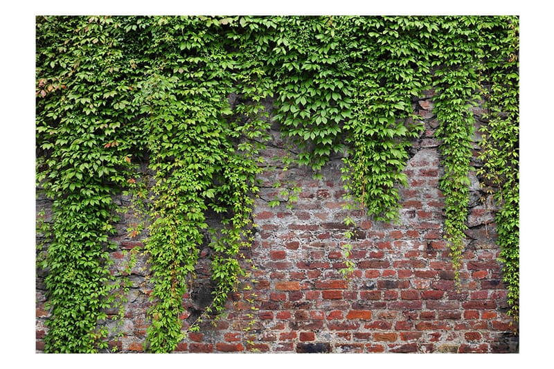 Canvastavle Brick And Ivy 100x70 - Artgeist sp. z o. o. - Boligtilbehør - Vægdekoration - Tapeter - Fototapeter