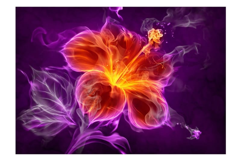 Canvastavle Fiery Flower i lilla 150x105 - Artgeist sp. z o. o. - Boligtilbehør - Vægdekoration - Tapeter - Fototapeter