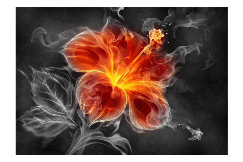 Canvastavle Fiery Flower Inside The Smoke 150x105 - Artgeist sp. z o. o. - Boligtilbehør - Vægdekoration - Tapeter - Fototapeter