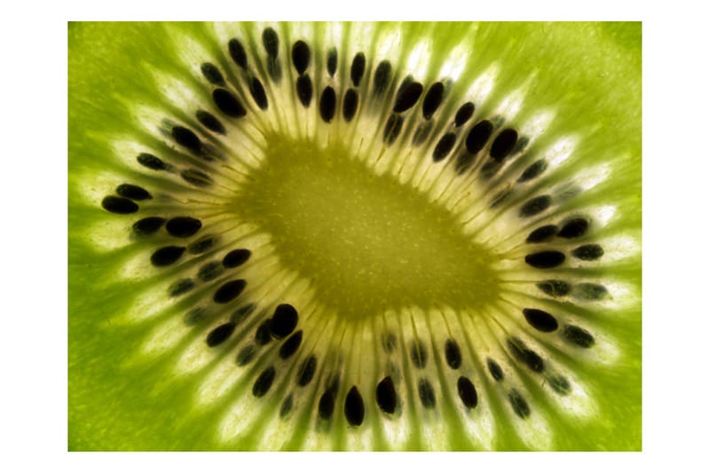 Canvastavle frugt Kiwi 200x154 - Artgeist sp. z o. o. - Boligtilbehør - Vægdekoration - Tapeter - Fototapeter