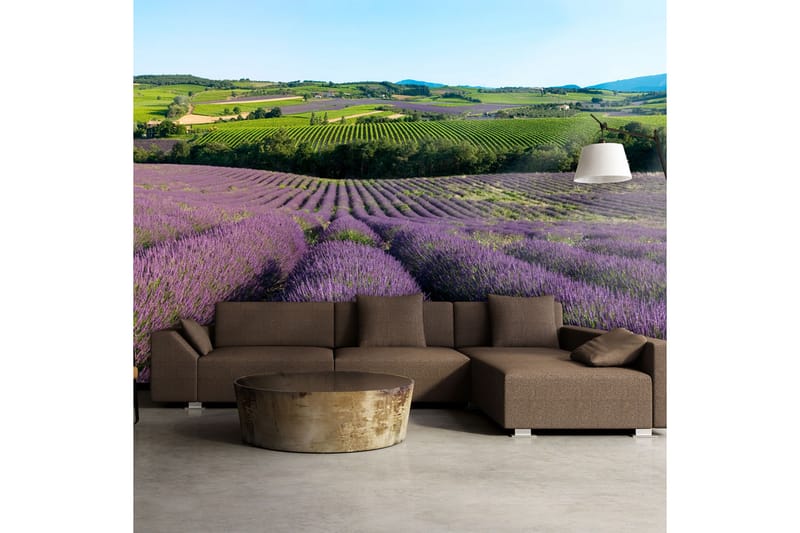 Canvastavle Lavender felt 200x154 - Artgeist sp. z o. o. - Boligtilbehør - Vægdekoration - Tapeter - Fototapeter