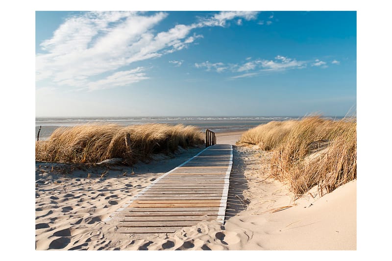 Canvastavle North Sea Strand Langeoog 200x154 - Artgeist sp. z o. o. - Boligtilbehør - Vægdekoration - Tapeter - Fototapeter