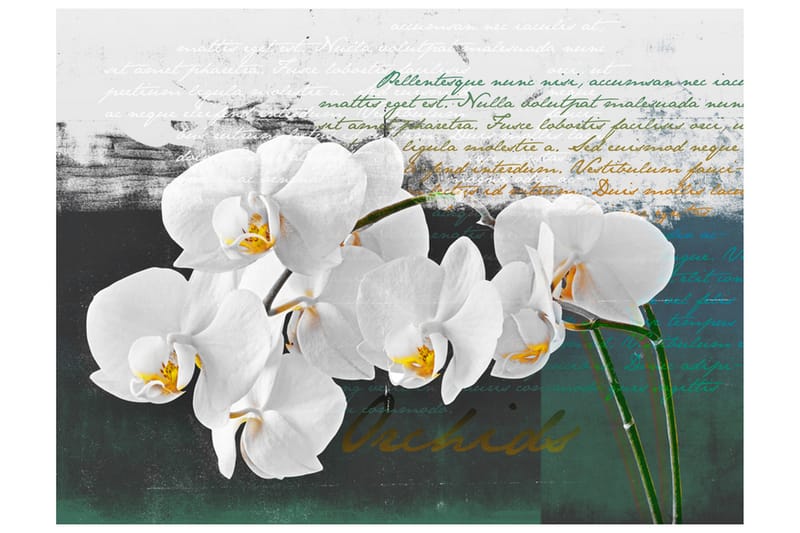 Canvastavle orkidé Digter Inspiration 250x193 - Artgeist sp. z o. o. - Fototapeter