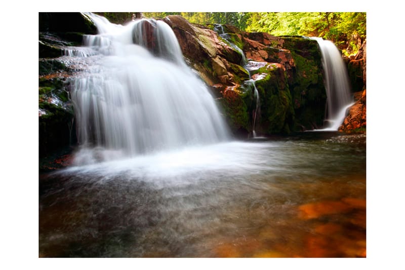 Canvastavle Small Elbe Waterfall 250x193 - Artgeist sp. z o. o. - Boligtilbehør - Vægdekoration - Tapeter - Fototapeter