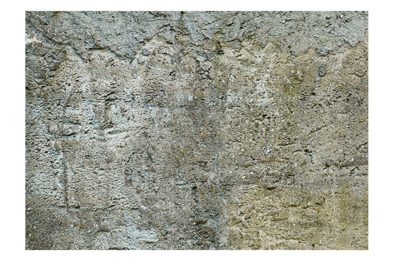 Canvastavle Stony Barrier 400x280 - Artgeist sp. z o. o. - Boligtilbehør - Vægdekoration - Tapeter - Fototapeter