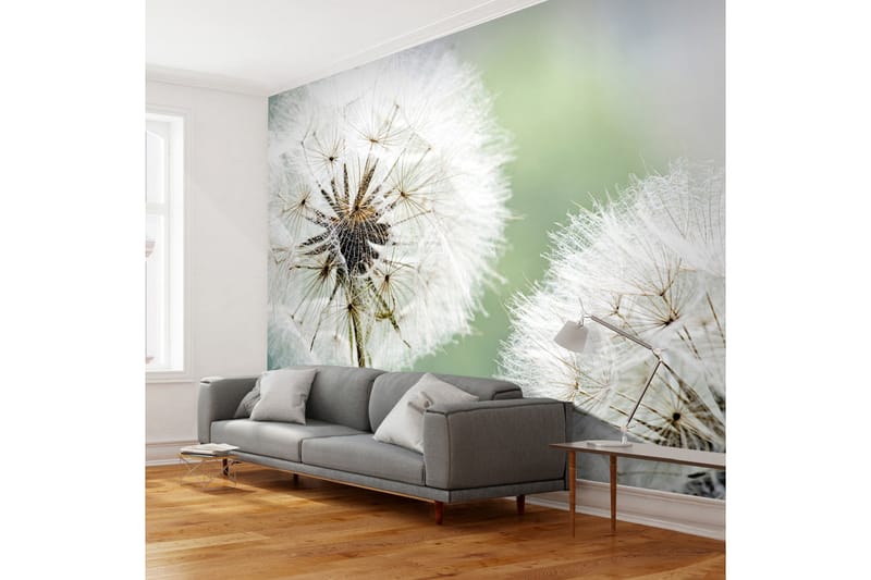 Canvastavle Two Dandelions 200x154 - Artgeist sp. z o. o. - Boligtilbehør - Vægdekoration - Tapeter - Fototapeter