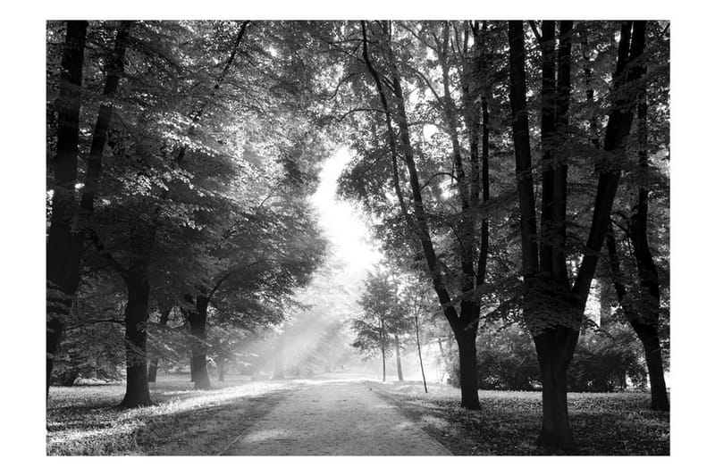 Canvastavle Path of Memories 200x140 - Artgeist sp. z o. o. - Boligtilbehør - Vægdekoration - Tapeter - Fototapeter