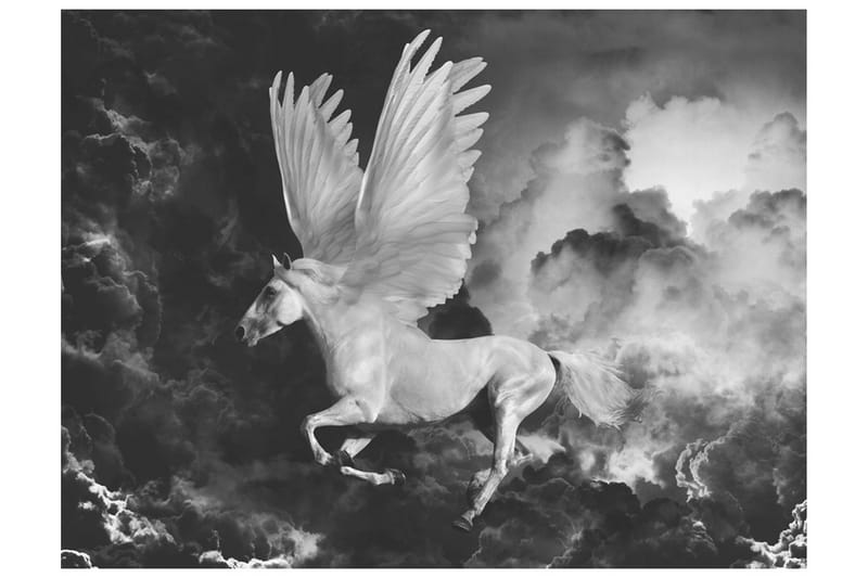 Canvastavle Pegasus På vejen til Mount Olympus 200x154 - Artgeist sp. z o. o. - Boligtilbehør - Vægdekoration - Tapeter - Fototapeter